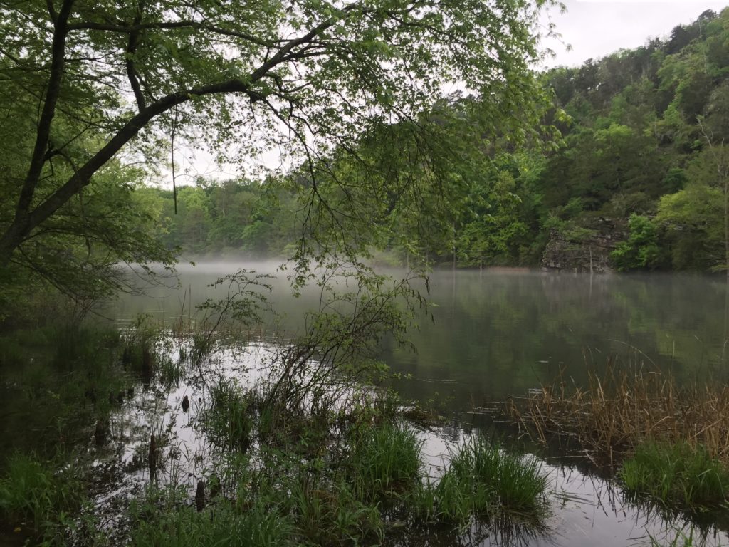 Beavers Bend State Park Lake Broken Bow Oklahoma